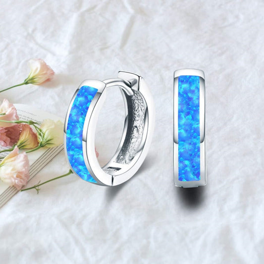 Small Platinum-Plated Hoop Earrings for Women – Minimalist Jewelry