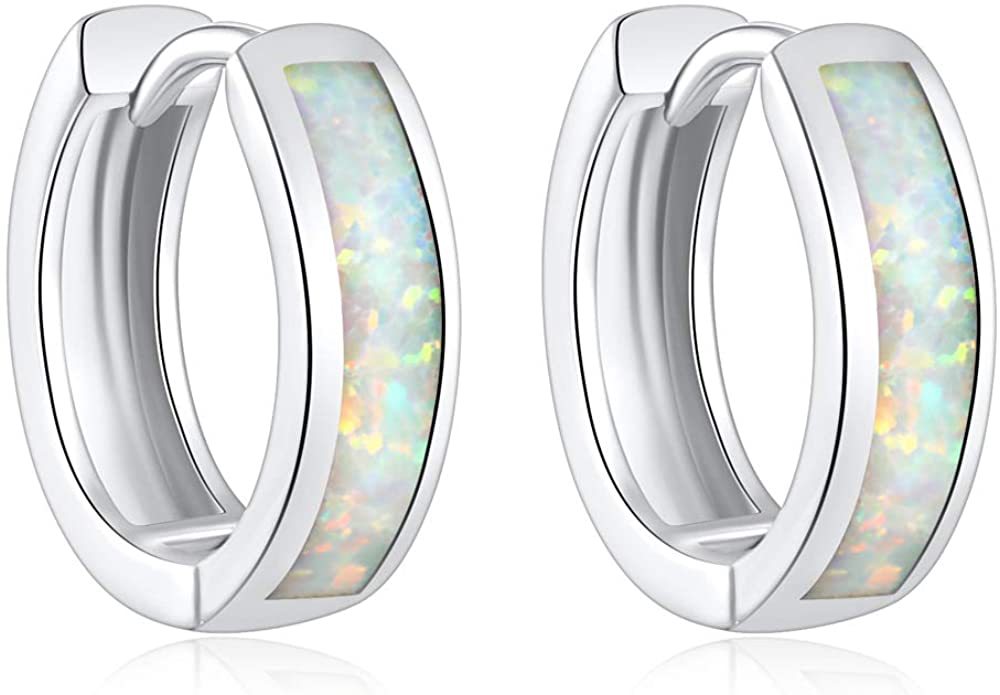 Small Platinum-Plated Hoop Earrings for Women – Minimalist Jewelry