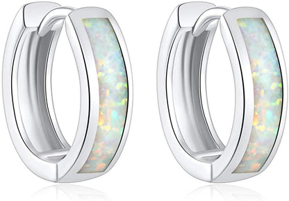 Small Platinum-Plated Hoop Earrings for Women – Minimalist Jewelry