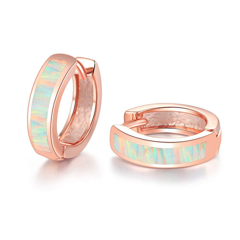 Small Platinum-Plated Hoop Earrings for Women – Minimalist Jewelry