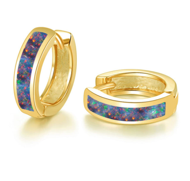 Small Platinum-Plated Hoop Earrings for Women – Minimalist Jewelry