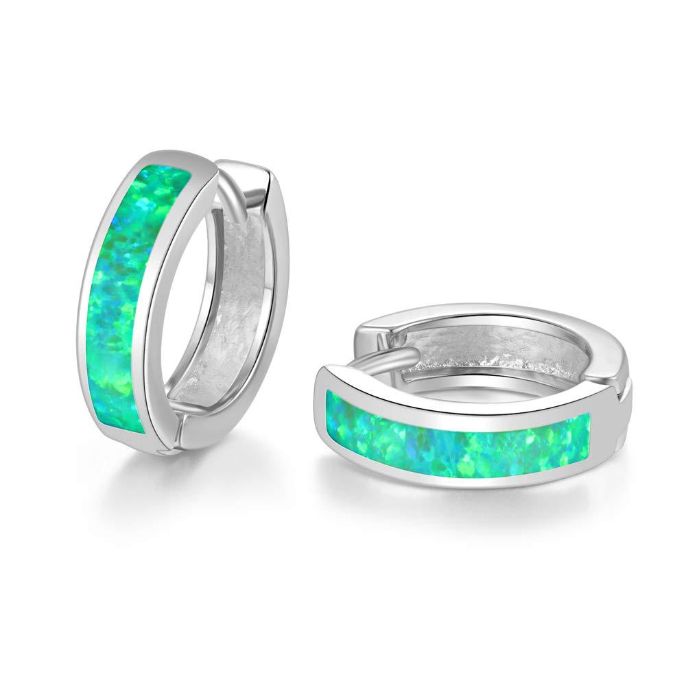 Small Platinum-Plated Hoop Earrings for Women – Minimalist Jewelry