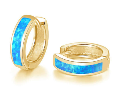 Small Platinum-Plated Hoop Earrings for Women – Minimalist Jewelry